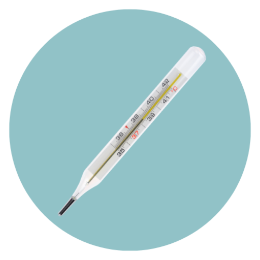 50-ปรอท-edit