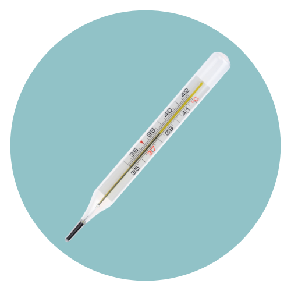 50-ปรอท-edit