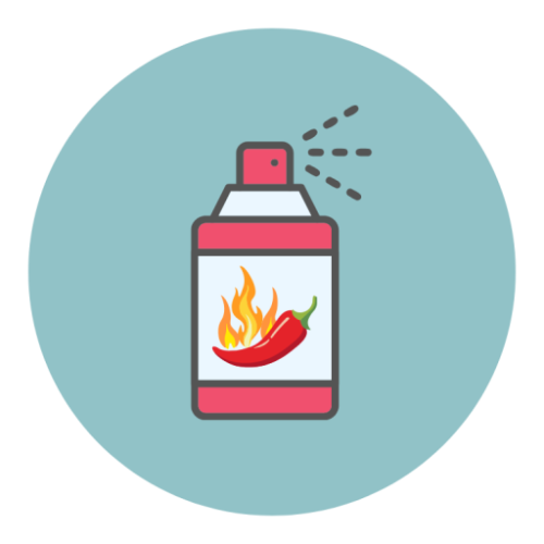 สเปรย์เครื่องเทศ