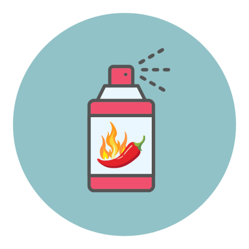 สเปรย์เครื่องเทศ