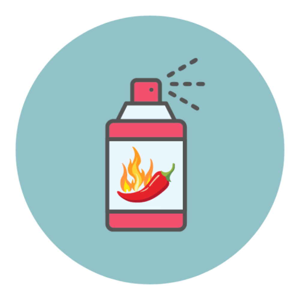 สเปรย์เครื่องเทศ