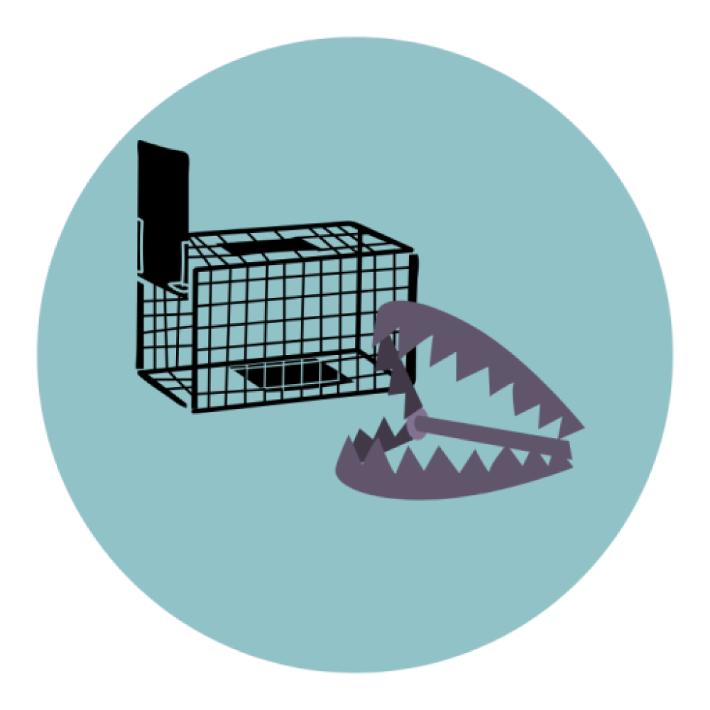 อุปกรณ์ฆ่าสัตว์