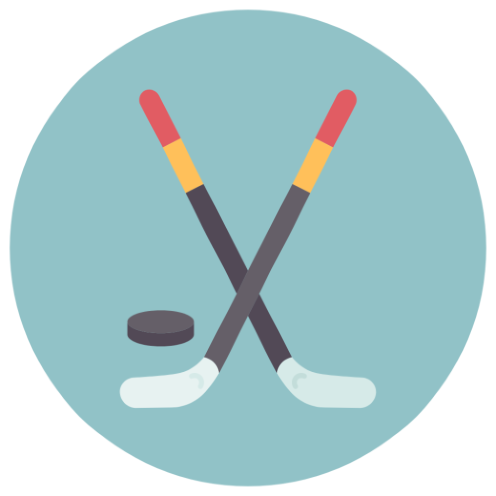 ไม้ฮอกกี้